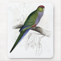Red-Capped Parrakeet (Female) by Edward Lear Mousemat