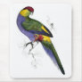 Red-Capped Parrakeet (Male) by Edward Lear Mousemats