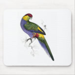 Red-Capped Parrakeet (Male) by Edward Lear Mousemat