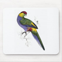 Red-Capped Parrakeet (Male) by Edward Lear Mousemat