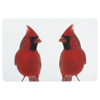 Red Cardinal Birds Animal Floor Mat