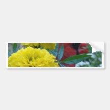Red Cardinal Birds Bumper Sticker