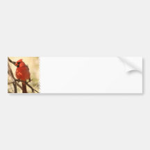 Red Cardinal  Bumper Sticker