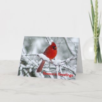 Red Cardinal Christmas Greeting Card