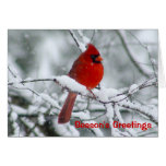 Red Cardinal Christmas Greeting Card