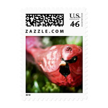 Red Cardinal • Christmas Stamp by SabineStGreetings Red Cardinal • Christmas Stamp