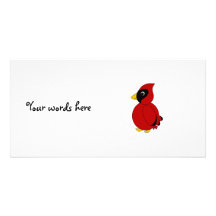 Red cardinal custom photo card