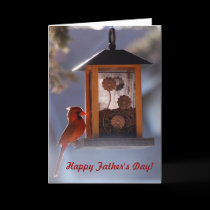 Red Cardinal Father's Day Card