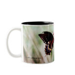 Red Cardinal Flower and Butterfly