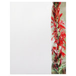Red Cardinal Flower Letterhead Design