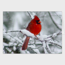 Red Cardinal in the Snow Card cards