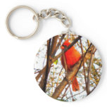 Red Cardinal Key Chain