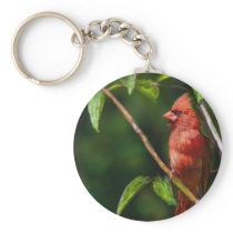 Red Cardinal Key Chains
