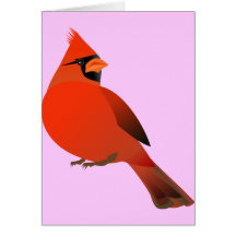 Male Cardinal Bird on Cardinal Bird Greeting Cards  Note Cards And Cardinal Bird Greeting