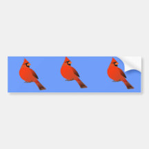 Red Cardinal Male Bird Bumper Sticker