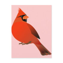Red Cardinal Male Bird Postcards