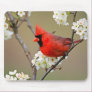 Red Cardinal Mouse Pads Red Cardinal Mouse Pads