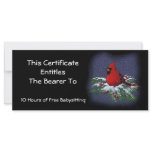 Red Cardinal on Snowy Branch: Gift Certificate rack cards