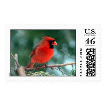 Red Cardinal Stamps