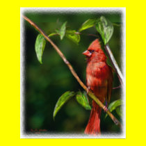 Red Cardinal posters