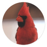 Red Cardinal stickers