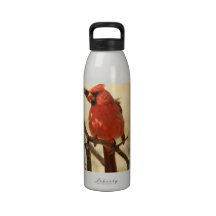 Red Cardinal  Water Bottle
