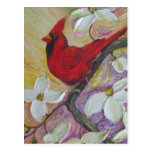 Red  Cardinal & White Dogwood Postcard