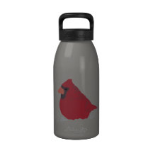 Red Cardinal Winter Snow Water Bottle