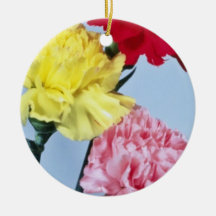 Red Carnation study on white flowers Ornaments