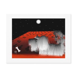 Red Carpet Puppy postcard