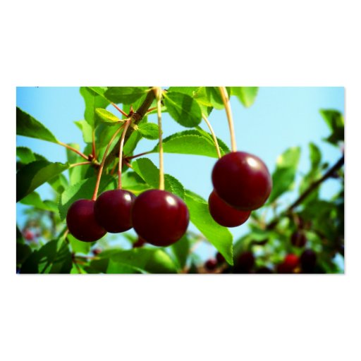 Red cherries - add your own touch business card template