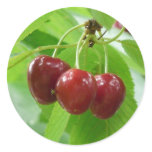 red cherries round stickers