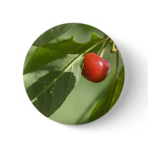 red cherry buttons