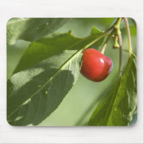 red cherry mousepads