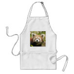 red-chinese-panda10x10 aprons