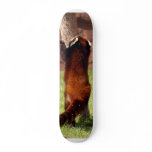 Red Chinese Panda 045 Skateboard