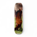 Red Chinese Panda 045 Skateboard