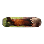 Red Chinese Panda 045 Skateboard