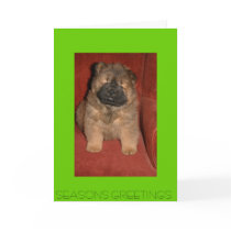 Red Chow; Xmas cards