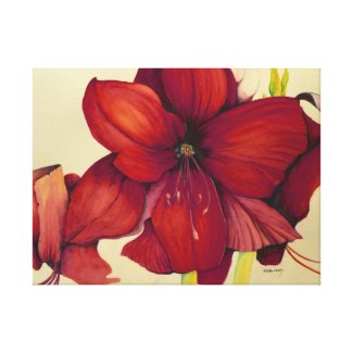 Red Christmas Amaryllis 24x18 Canvas Print