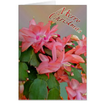 Red Christmas Cactus Christmas Card
