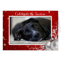 Red Christmas Family Pet Photo Greeting Greeting Card