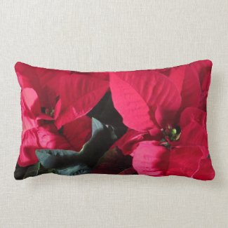 Red Christmas Poinsettias Floral Pattern
