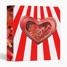 red clockwork heart binder