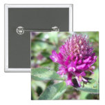 Red Clover Blossom 1 Button