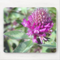 Red Clover Blossom 1 Mousepad by CreatureCreations Red Clover Blossom 1 Mousepad