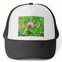 red clover hats