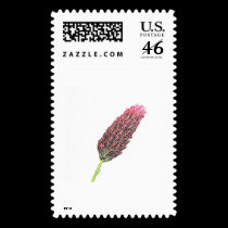 Red Clover stamps