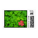 Red Clover Wedding Invitation Postage Stamp