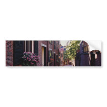 Red Cobblestone Acorn Street flowers Bumper Stickers